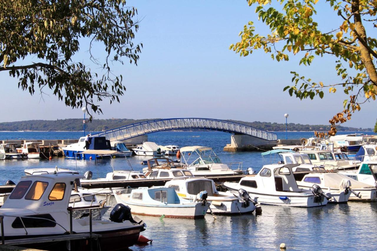 Family Friendly Apartments With A Swimming Pool Valbandon, Fazana - 2201 Штинян Екстер'єр фото